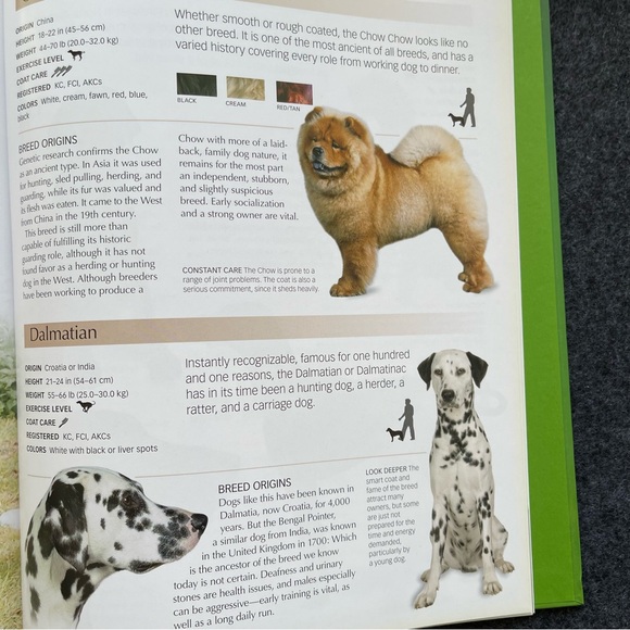 The Ultimate Guide to Dogs Hardcover - Picture 7 of 9